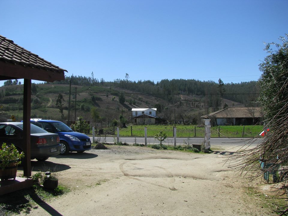 Villa Taly