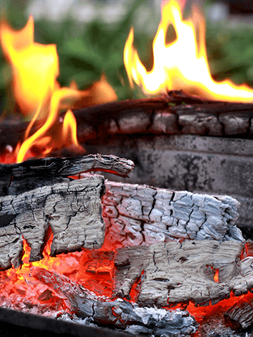 Asado al Rescoldo | Recetas Chilenas