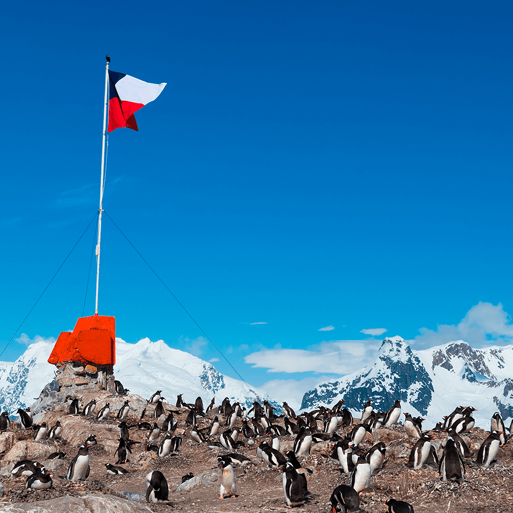 La Antártica Chilena | Recetas Chilenas