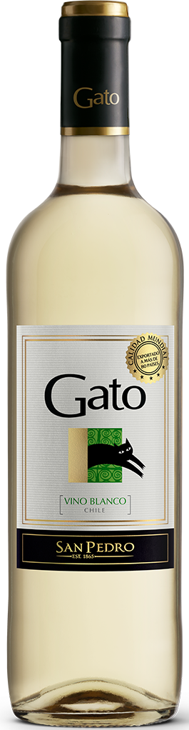 Gato Blanco