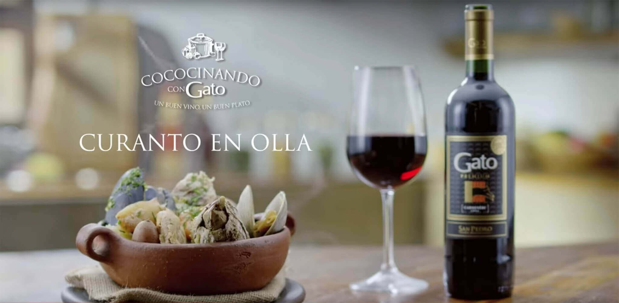 Cococinando con gato – caldillo de congrio | Vino Gato - Típico Chileno