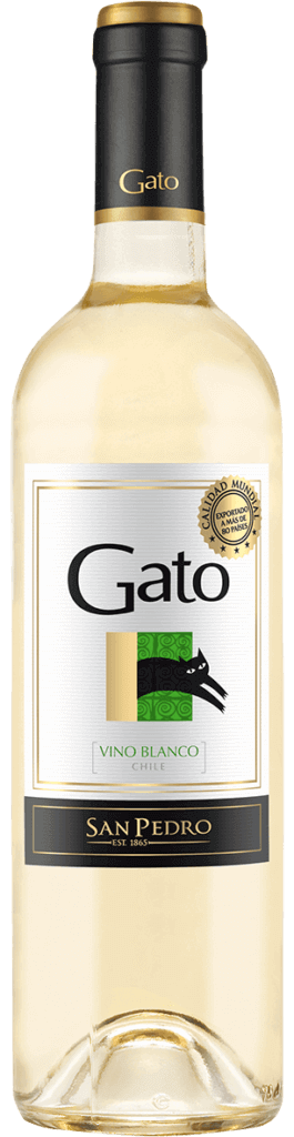 Gato Blanco