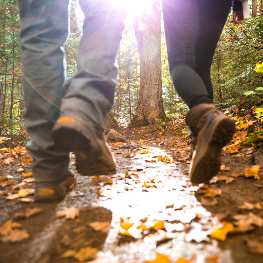 Parques para disfrutar del otoño en primera fila | Recetas Chilenas