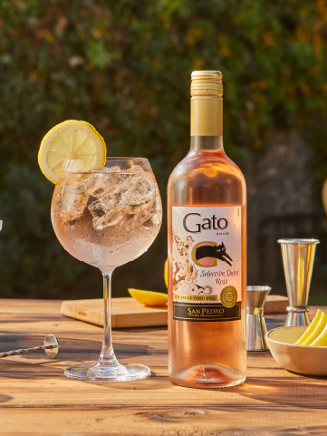 Gato Encerrado Spritz | Cocteles Chilenas